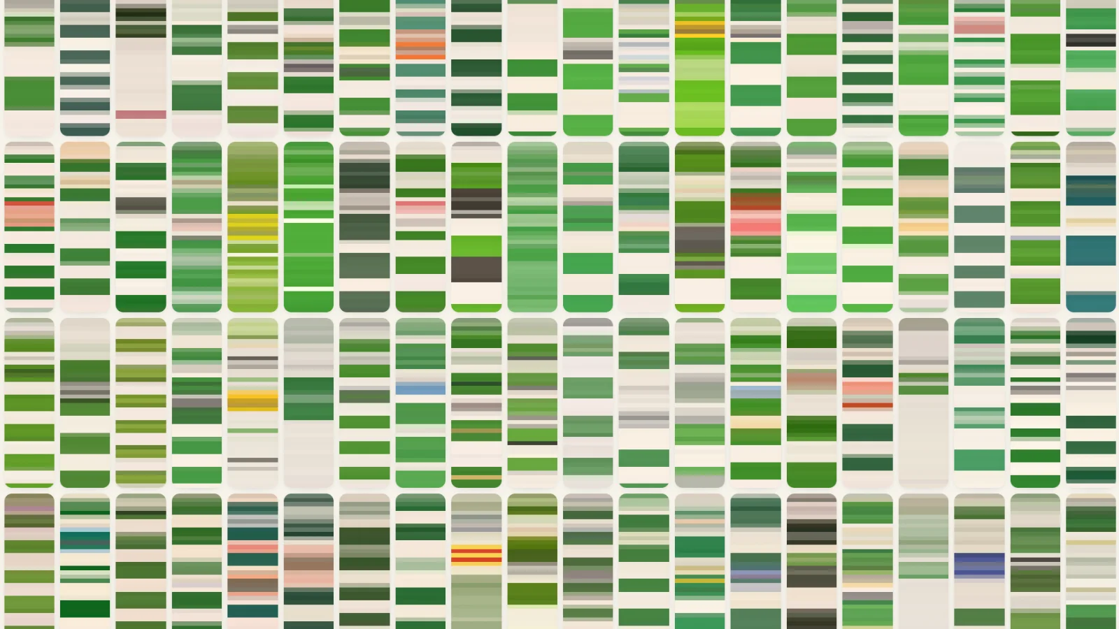 O que é o Hoop DNA? Como ler uma camisola de riscas