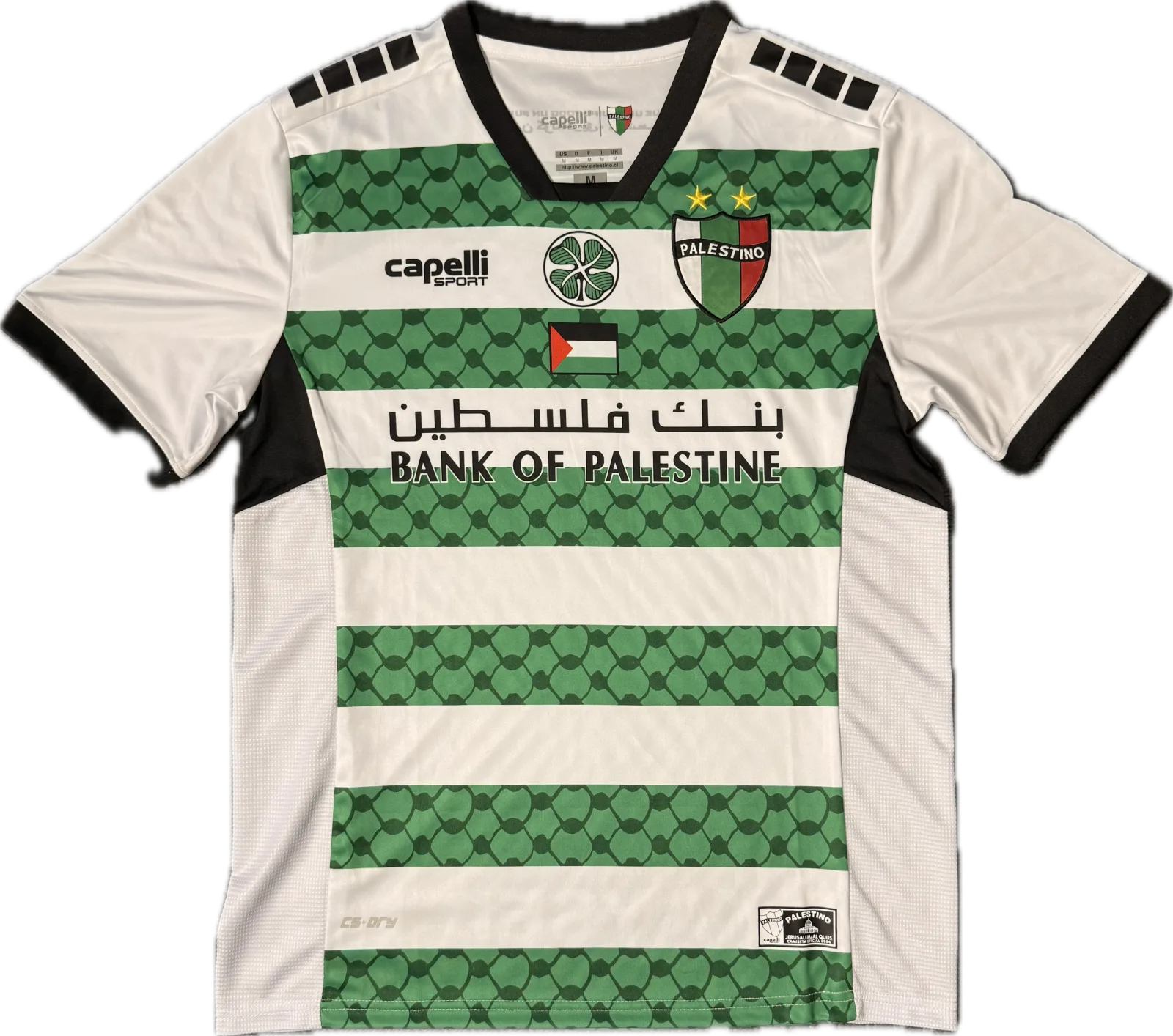 Club Deportivo Palestino 2024 frente