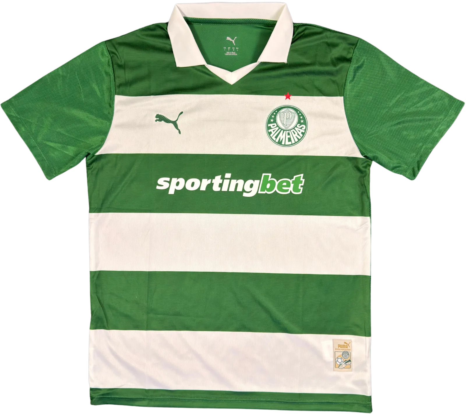 Palmeiras 2025 frente